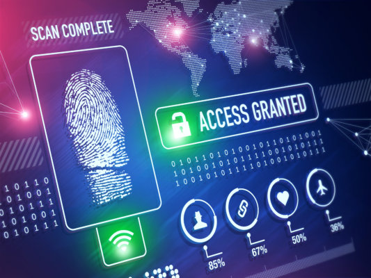 Image of finger print recognition access granted as illustration for post 'SEISS Grant Authorisation'