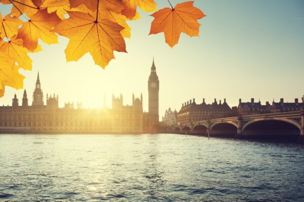 An image of Big Ben and the Houses of Parliament from the opposite side of the Thames with autumnal leaves as illustration for post 'What can we expect from the Autumn Statement?'