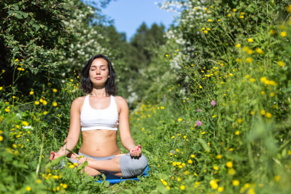 An image of a yoga practitioner in a field of wildflowers as illustration for post 'Stress Awareness: Employers' Legal Duties and Practical Steps'